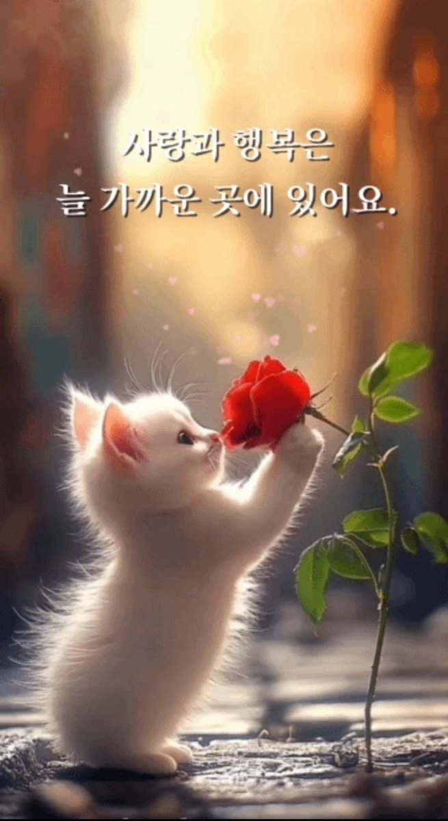 landnew3's tweet photo. #힐링타임 #서울 #좋은글 https://t.co/VKAtOCGFQA