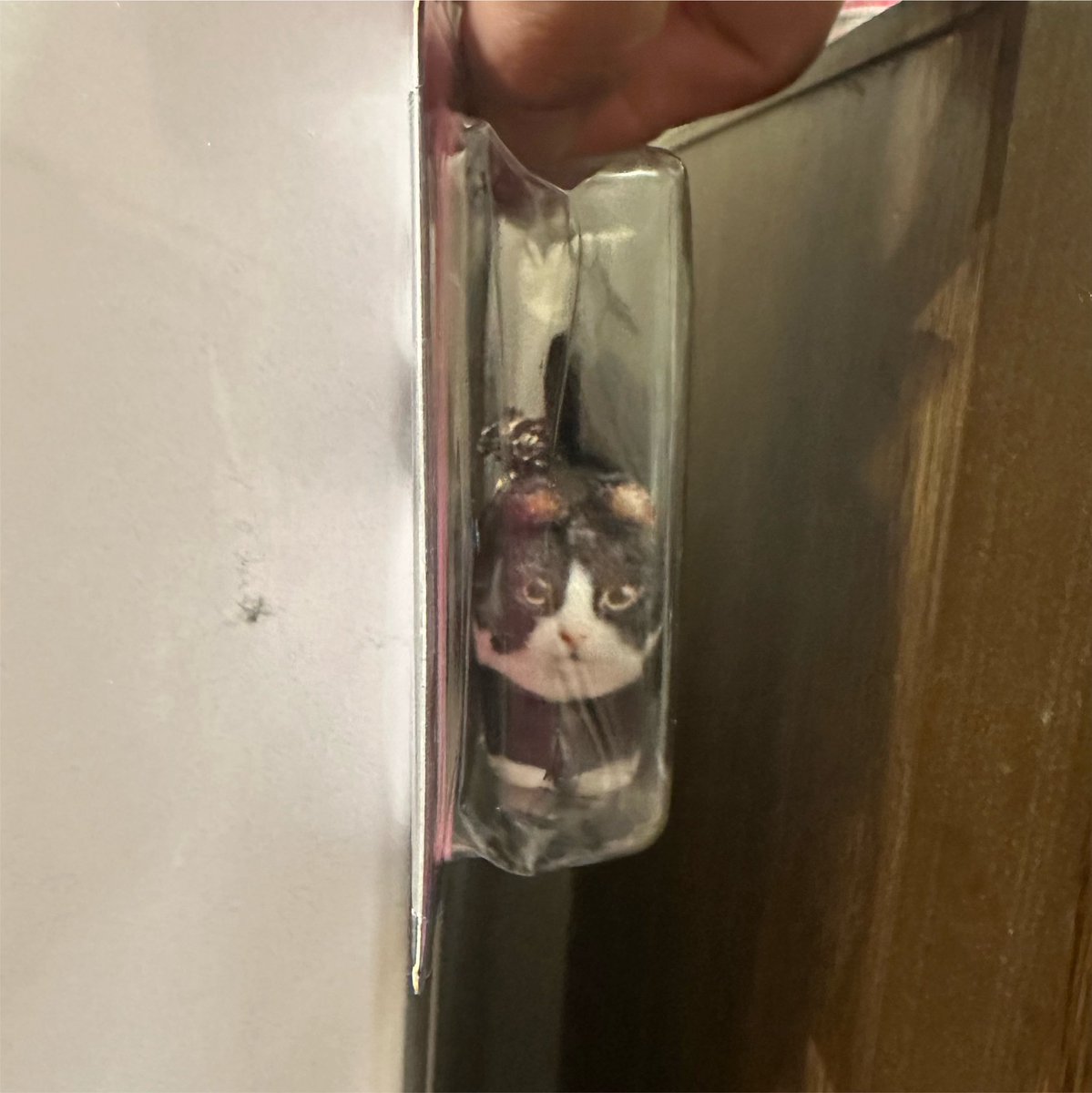 04hk__'s tweet photo. 韓国で流行った人気のキーホルダー🐈
色んな種類のキーホルダーもあってどれにするか迷う！！！
#PR

#softthumbnail https://t.co/gWkUKV7ToT