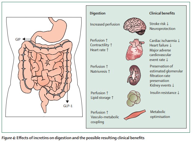 The Lancet Diabetes & Endocrinology tweet media
