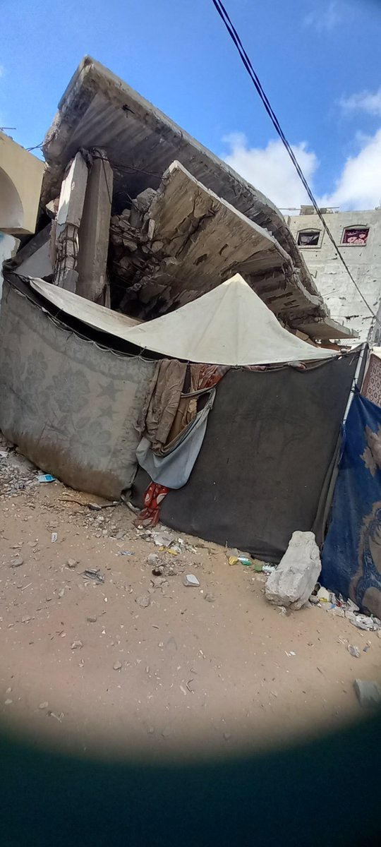 UmmShaabaan's tweet photo. 💔 I live in a tent surrounded by garbage and waste, in extremely difficult conditions.
I am trying to protect my children and provide their basic needs. 🙏
Please help us by sharing our story. Every bit of support gives us hope.
@dunciads @oliveegirl @_OliveCommunity @KenIzzB90 https://t.co/mtpdl2IIZG