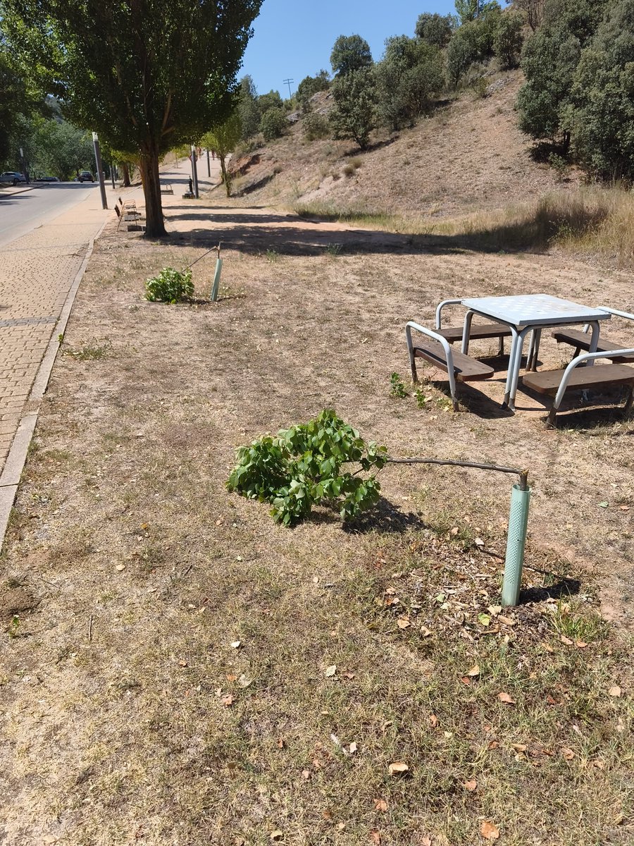 soriapatrimonio's tweet photo. ⚠️ Hay sinvergüenzas que viven entre nosotros y que se dedican a destrozar lo que es de todos. Gracias por hacer de esta ciudad un lugar peor. https://t.co/sfBZPIKyNk