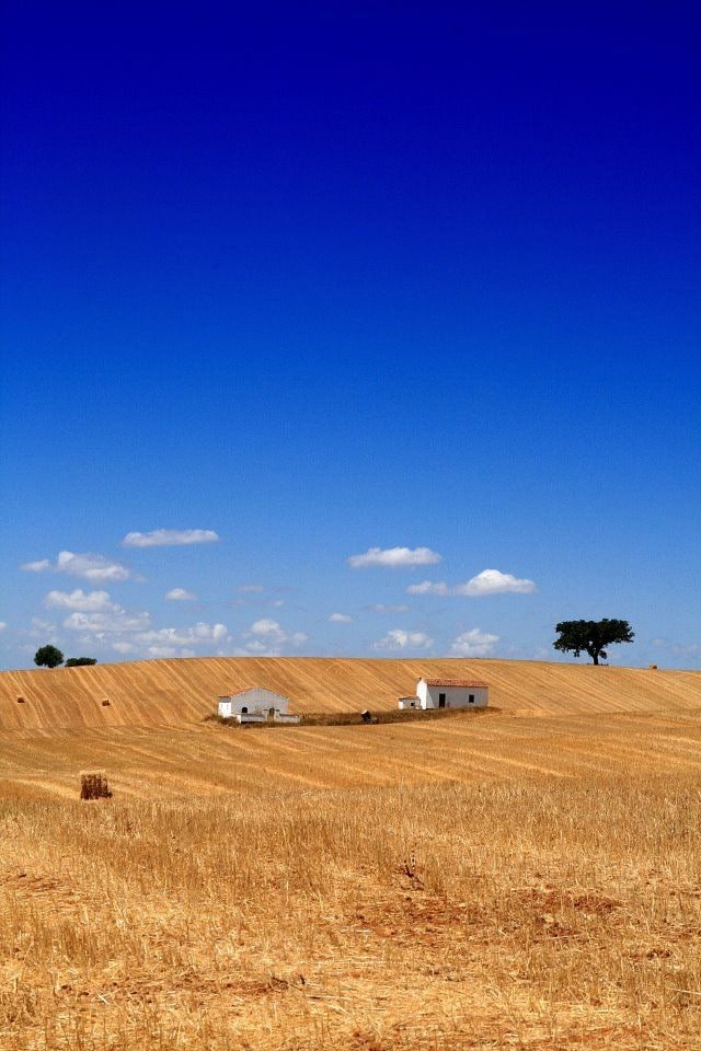 LucianoWrial's tweet photo. El Alentejo acaso sea una de las últimas reservas espirituales y estéticas de Europa. https://t.co/ZL82U4Xbyy