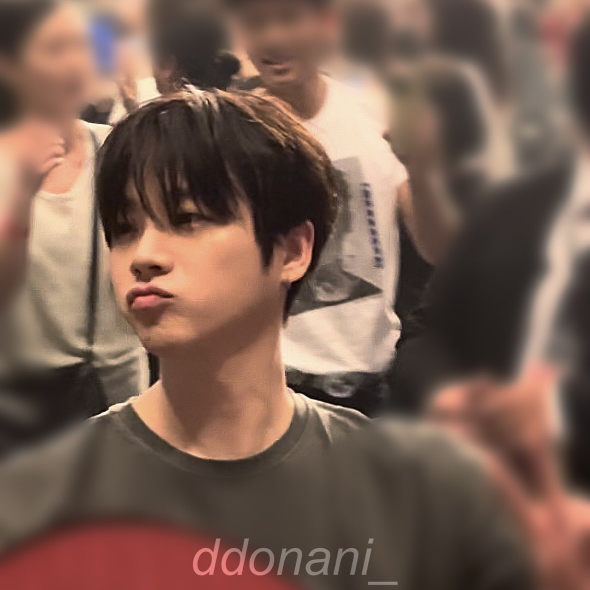 ddonani_'s tweet photo. 이거완전 얼딩이 따로 없군 #진환 https://t.co/ePkDPSVYeg
