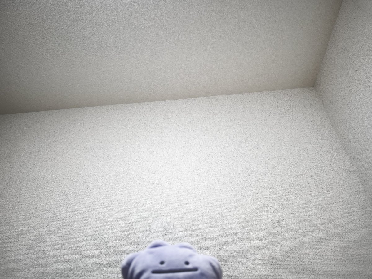 metaaaaaaa0221's tweet photo. #10人に引用されたら負け https://t.co/lYAk0jOnPt