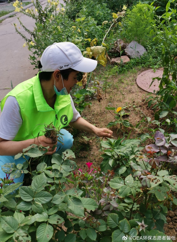 Faciolroy2's tweet photo. Spent this sunny Saturday at the community garden volunteer day  Helped plant 50 saplings, chatted with local elders, and watched the neighborhood get greener—small acts add up! #VolunteerLife #CommunityLove， https://t.co/BGb5gIwERd