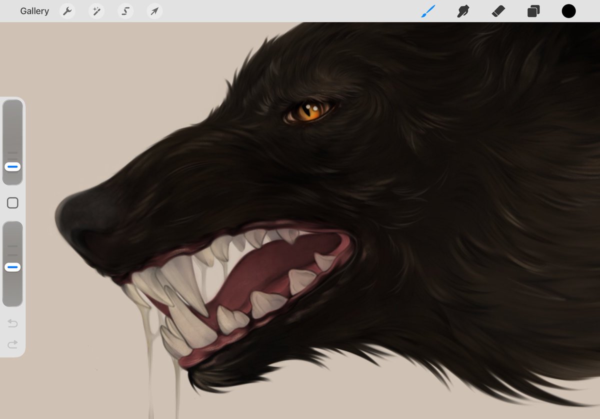 rrrrraatt's tweet photo. oc for my dear friend 🐾🐺 https://t.co/tf3Rf58Xf5