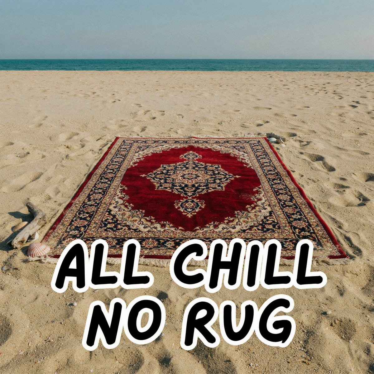 Magic Carpet tweet media