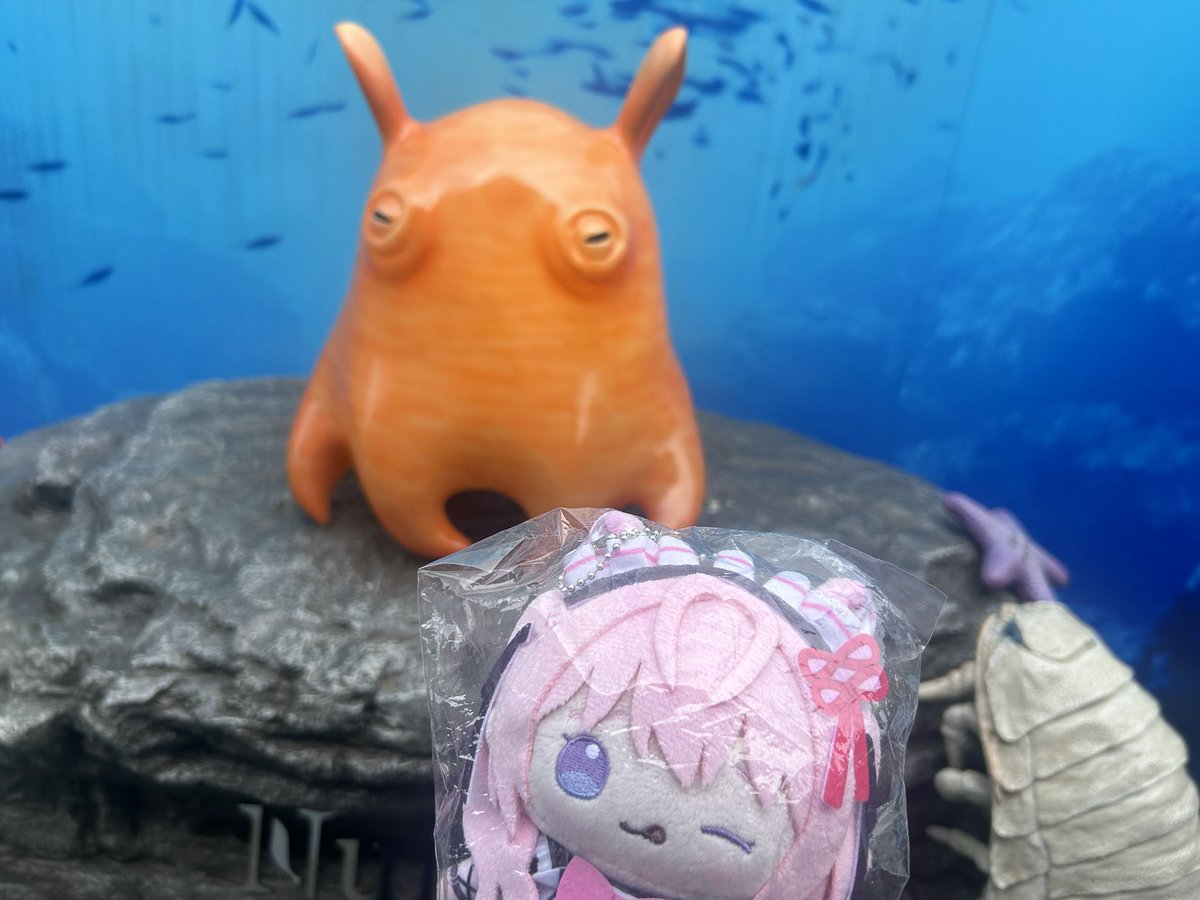 CAIN_013's tweet photo. こよちゃん、沼津の海だよ🌊 https://t.co/wzPVtt0rIo