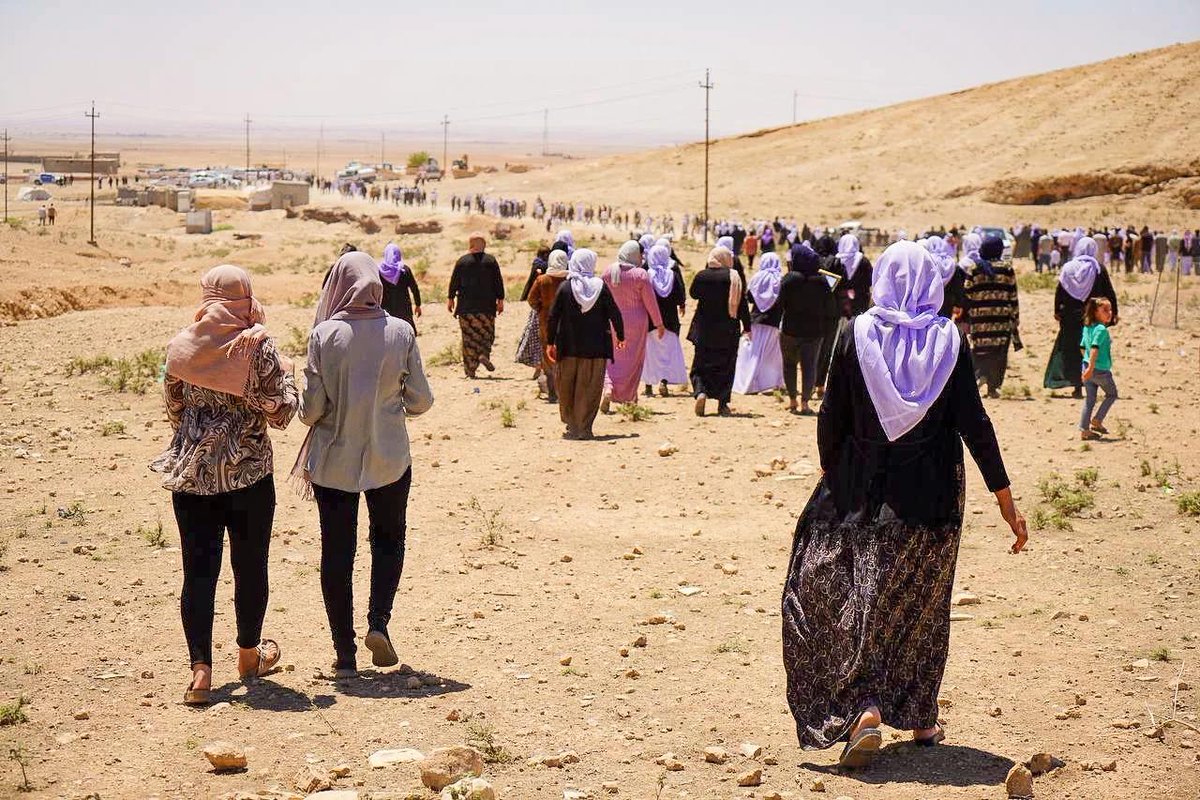 JinDergi's tweet photo. 🟣 Kırımın Kırıntılarında Filizlenen Özneler: Êzidî Kadınlar

🖊️ Beritan Zagros
https://t.co/BNReLFS6LL https://t.co/5NVGLHqCwq