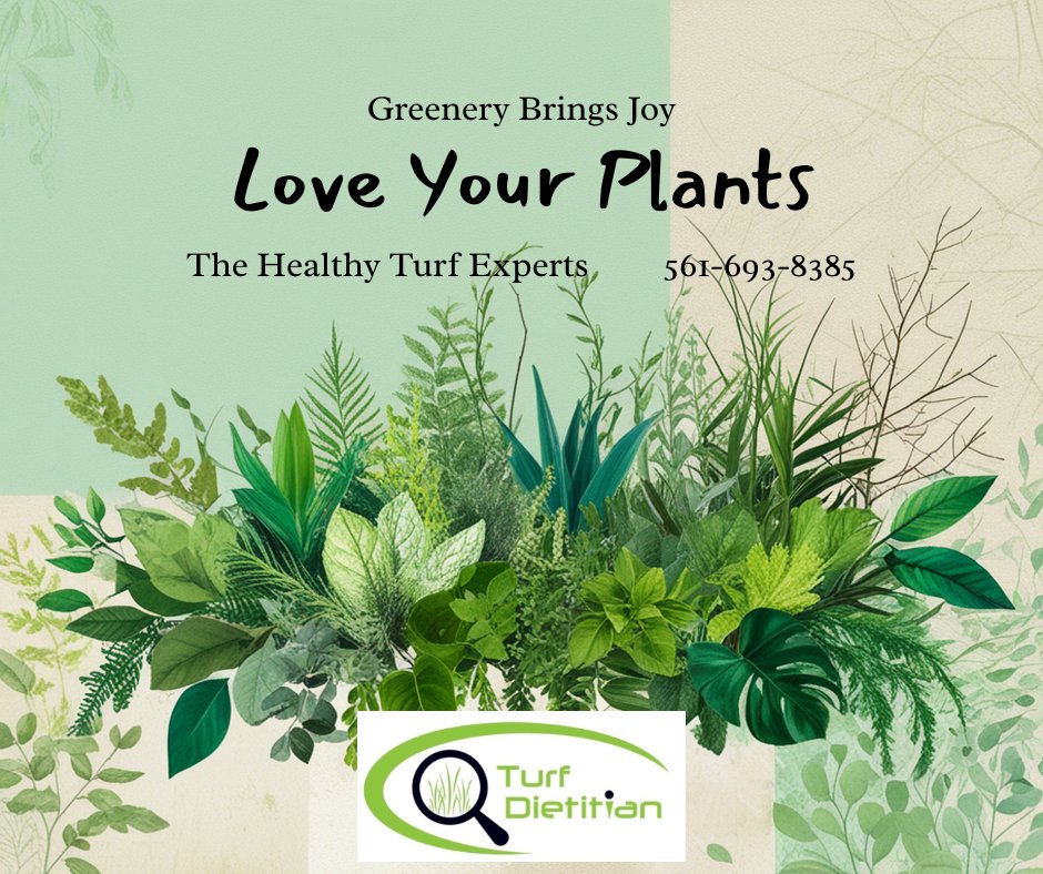 TurfDietitian's tweet photo. The Turf Experts  
#turflife#turfgrassmanagement #irrigation #golfcourse #lawncare #irrigation #agriculture #turf #landscaperforpalmtreesinjupiter #PalmbeacGardens #Jupiter #JunoBeach #Tequesta #PalmBeach #Palmbeach_community #SoilTesting #BeCrop #SoilHealth @palmbeachmagazines https://t.co/ax6ridkgMV