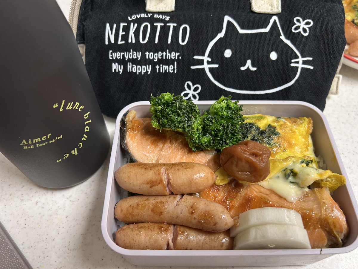 hfx7a's tweet photo. こんばんは
今日のお弁当🍱

今朝、お仕事に持っていくお弁当作って
バッグに入れようとしたら
“今日のお昼は土曜日だしどっか食べに行こう”
一緒に仕事してる兄からLINE
なので晩御飯にと冷蔵庫にしまっておいて
今🙂

8月もよろしくお願いします🙂‍↕️

⁦#お弁当⁩　⁦#お弁当記録⁩ https://t.co/oUOgAdfj9Y