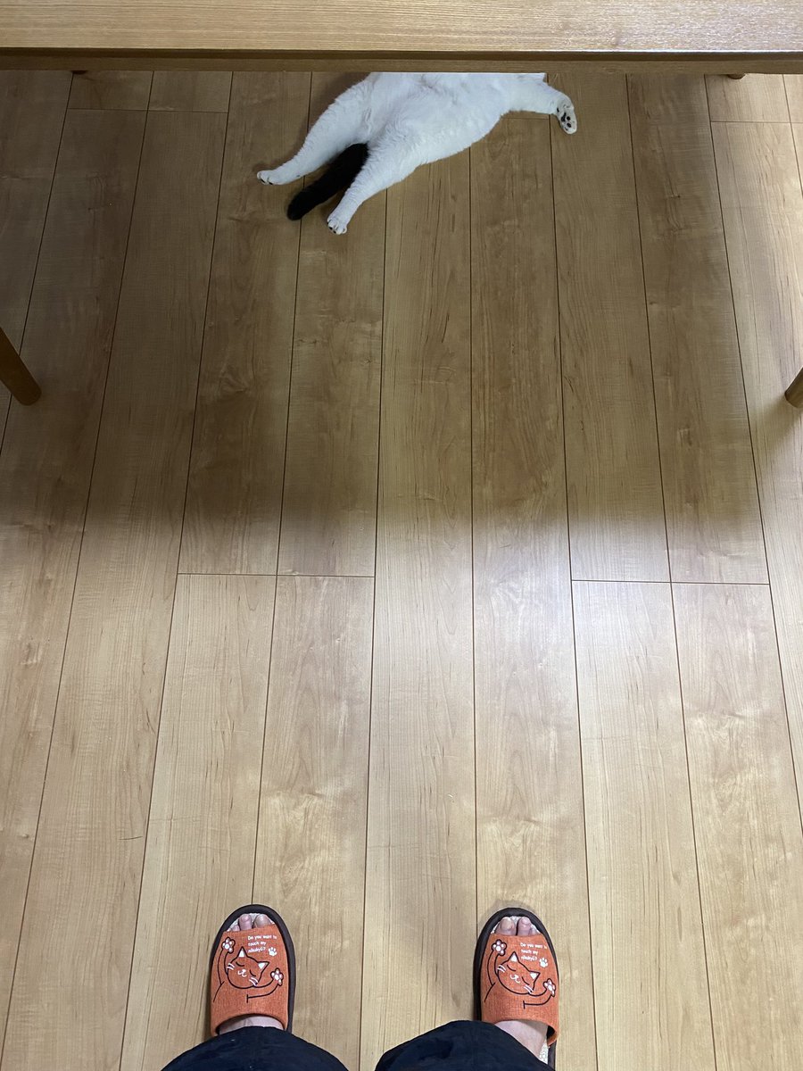 tsurukameryu's tweet photo. 帰宅 https://t.co/OCeQkkJrqH