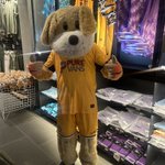 Photo by Spytty The Dog (@countymascot)