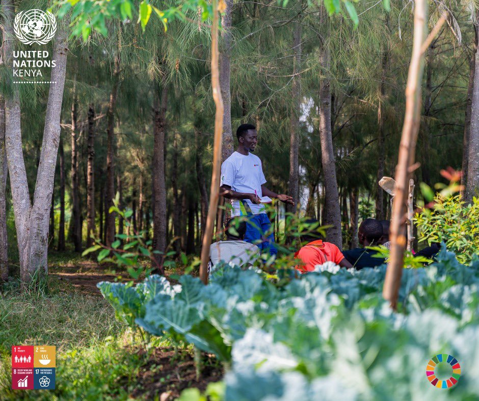 UnKenya's tweet photo. Young Kenyans are running businesses that did not exist years ago.

No permission. Just building with the right support behind them.

Here is one of them, Boniface Otieno from Homa Bay County.
He runs a fish &amp; vegetable farm, selling 500K+ fishlings monthly.

#YouthKE https://t.co/OnUkwDqdMm