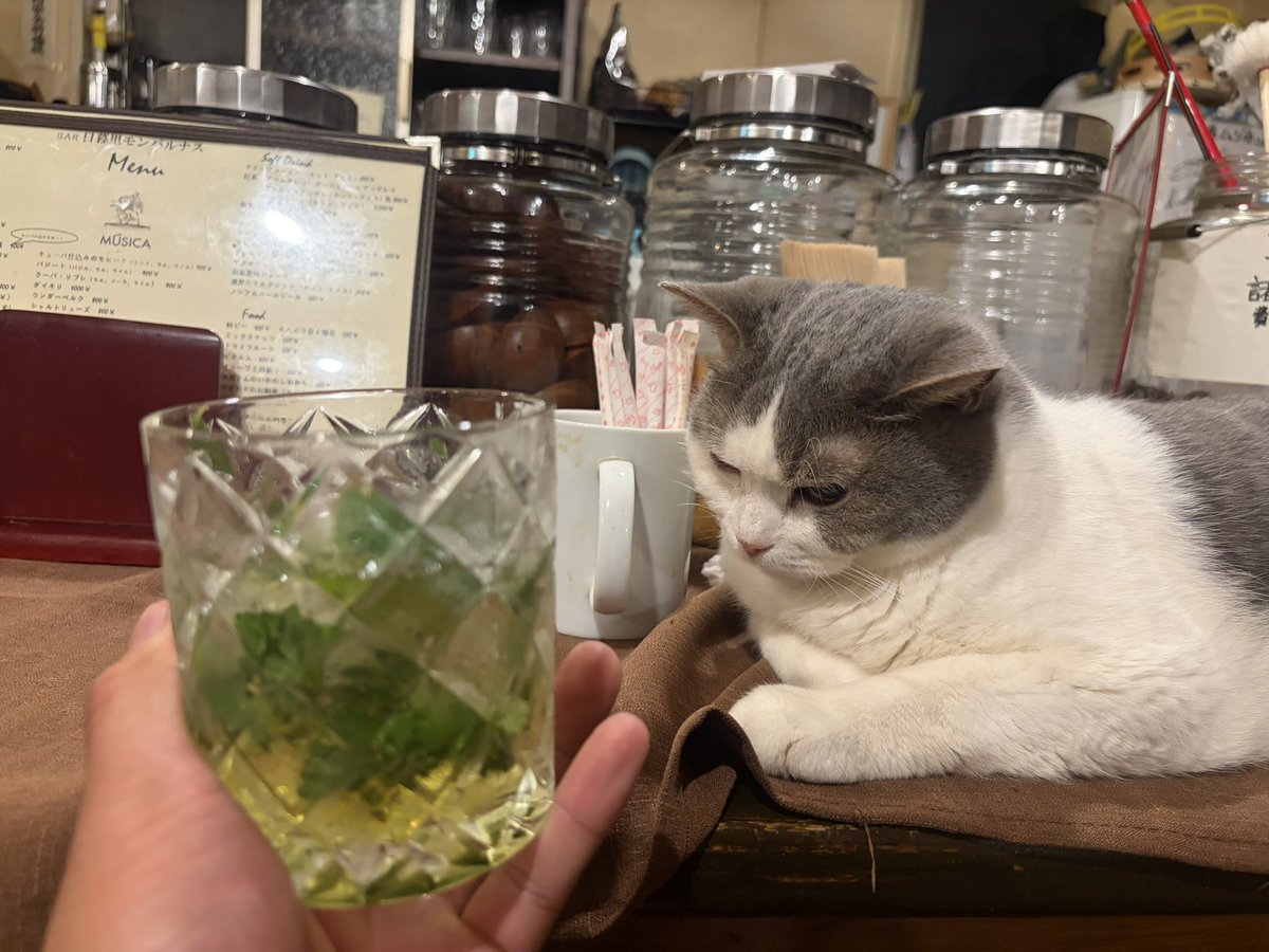 SuckaStewDry's tweet photo. ﾈｺﾁｬﾝ🥂🥂大変にありがたい存在✨ https://t.co/pWw72SPZxd