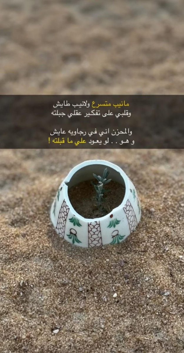 نجمة سدير tweet media