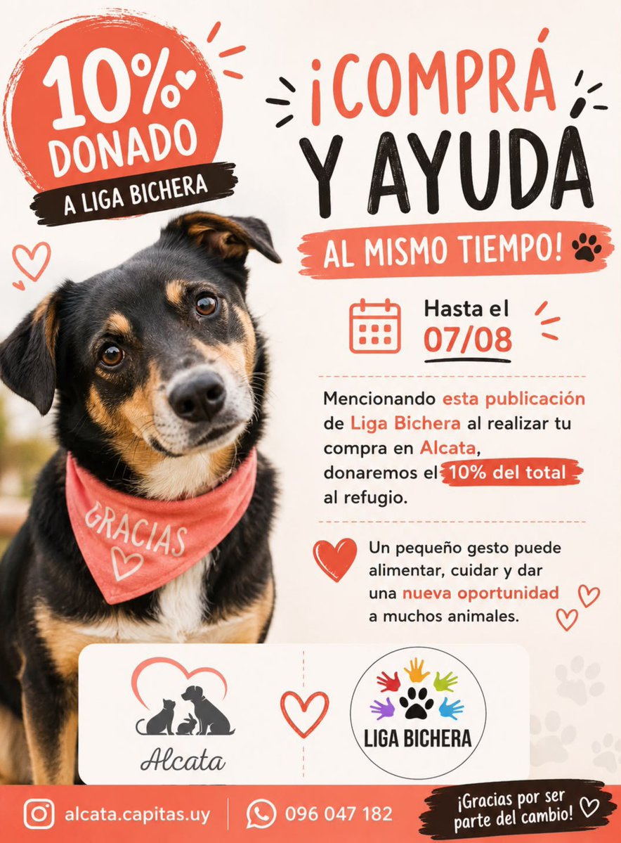 KioscoToni's tweet photo. SÁBADO DE ADOPCIONES Y COLABORACIÓN.
Para agradecer a la gurisada del María Auxiliadora por su empatía y su movida solidaria en favor de los peluditos de @apaelrefugio.
Y para contarles que ahora en Alcata Capitas comprando un mimo para sus peludos ayudan a los de @ligabichera. https://t.co/mRaKNd3lmS
