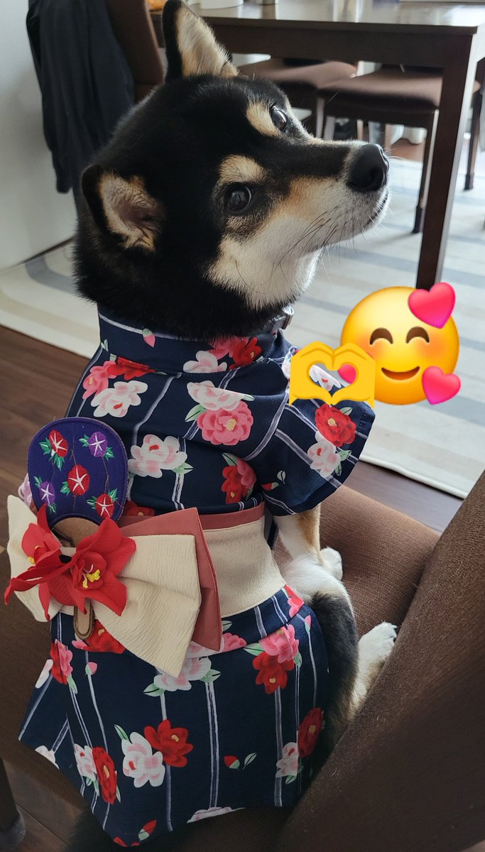 opeposan53's tweet photo. 今度、犬の夕涼み会があるから浴衣購入
バギーも手に入れたから今後イベントやカフェもちょっと楽になりそう
ネームプレートも作った💡 https://t.co/CBkEBZyvsk