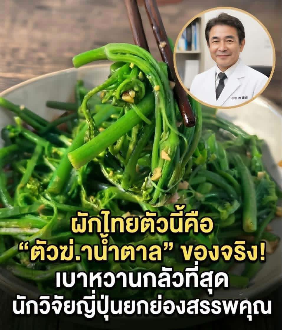 Backk99's tweet photo. นี่คือยอดผักอะไรค่ะเพื่อนๆ ใครรู้ช่วยบอกทีค่ะ เผื่อเป็นประโยชน์ต่อเพื่อนๆ https://t.co/OxdIgdlKwl