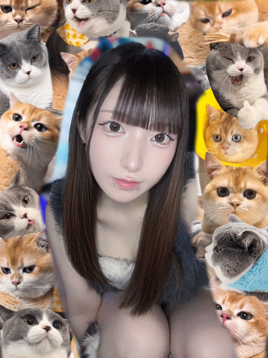 xnlpln's tweet photo. #自撮り界隈 https://t.co/i6Yi50DHoy