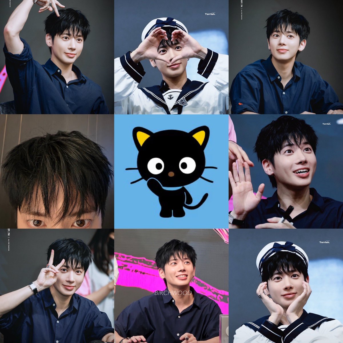 closetobeomgyu's tweet photo. the chococat levels are through the roof right now 𑄝੭ https://t.co/lgH5QmSwad