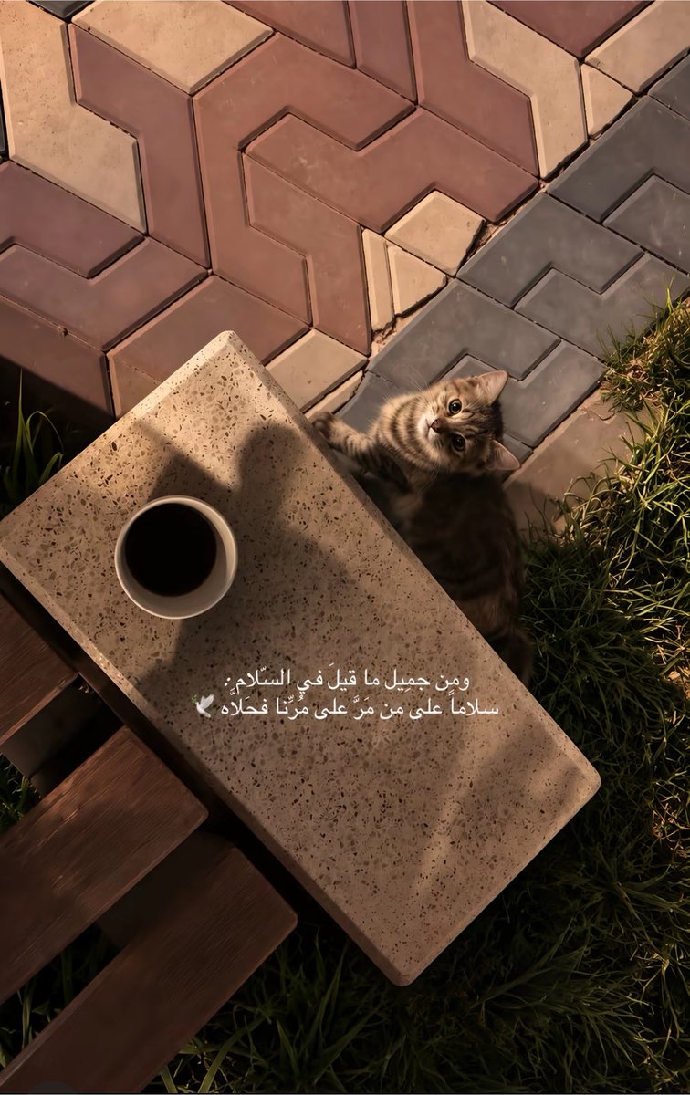 r00Se9's tweet photo. وتضل الصدف هي اجمل من الف ميعاد 🤍 https://t.co/uxHjbh87l1