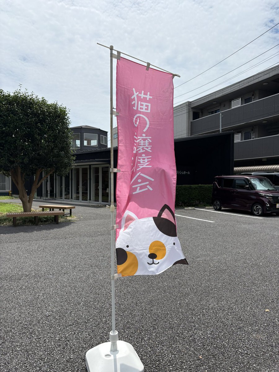ラブとハッピー府中@里親募集中 (@fuchu2022cat) / Posts / X