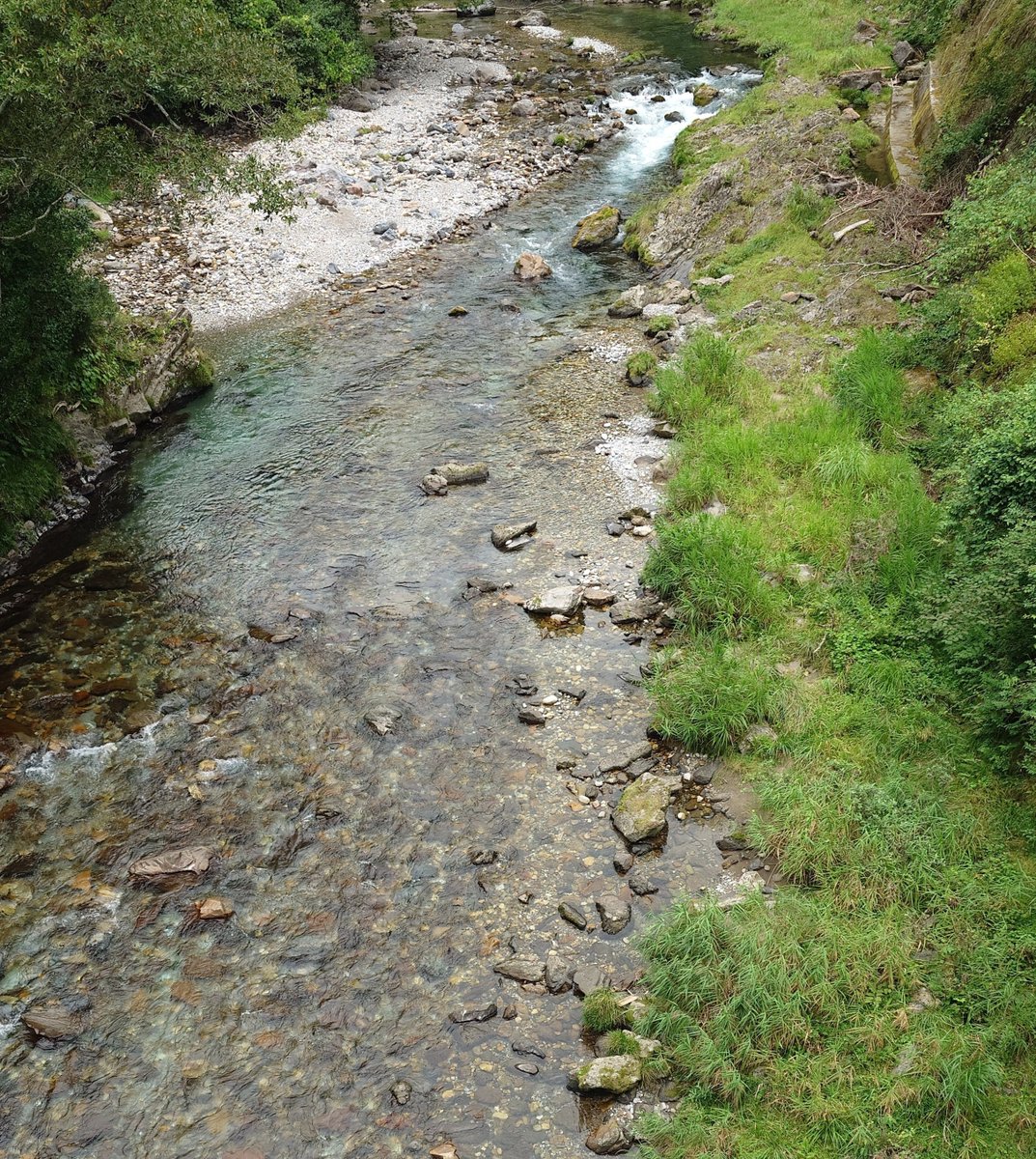 chappu888's tweet photo. 今日もここでした。
粘って、釣果10尾！
水温19度、山の中は涼しいゾ！
渇水、釣り荒れと
段々と難しくなってきました。
#美山漁協
#鮎釣
#友釣 https://t.co/pi6mdEezLd