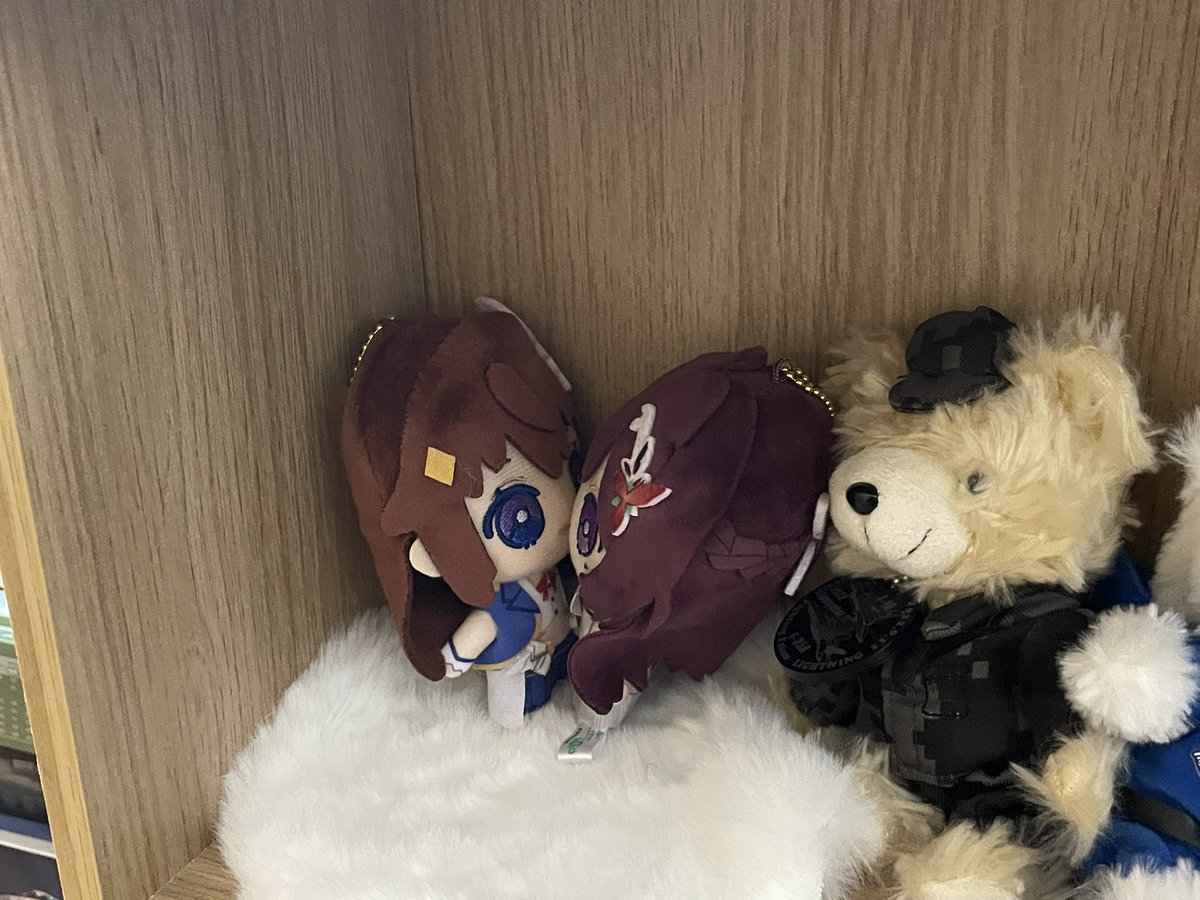a6_fa18's tweet photo. 午後に地震で少し部屋が揺れて棚の物大丈夫か見てたけどこれ、そっとしておいた方がいいですよね^^ https://t.co/BoX2T04CLJ