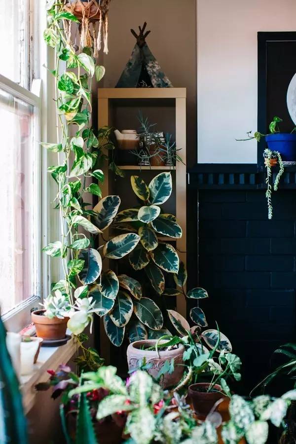 Kristijanssv's tweet photo. Just found my old childhood bike in the garage—once too small to ride, now it’s the perfect spot to hang my plant. Life’s full of little, warm full-circle moments https://t.co/HSqHl5n1rb