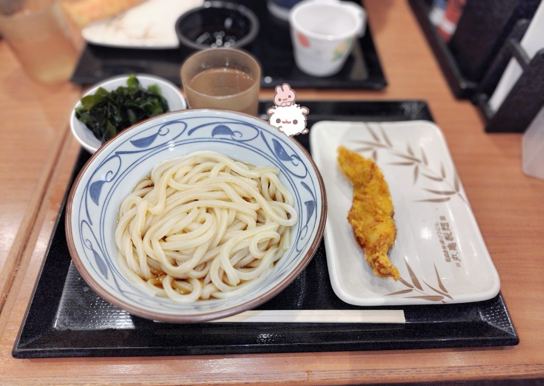 Ull0z2's tweet photo. よるごはん🎶ぶっかけと釜揚げが半額だから食べに行こうって話になってフッ軽で行った(ᐡ• ·̫ •ᐡ)💘当たり前に大食べたしかしわ天もちょうど揚げたてで美味しかった！あとかき揚げもお母さんからちょっともらった😽 https://t.co/4cTeTF66dw
