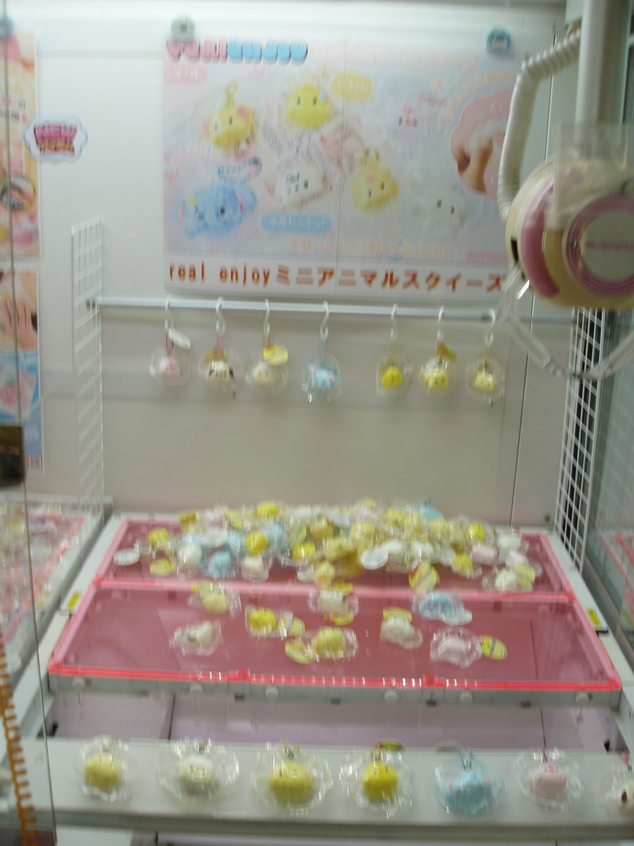 archkitayama's tweet photo. 景品入荷情報

reai enjoy ミニアニマルスクイーズ(全7種）

入荷しました https://t.co/Eoti1skymF