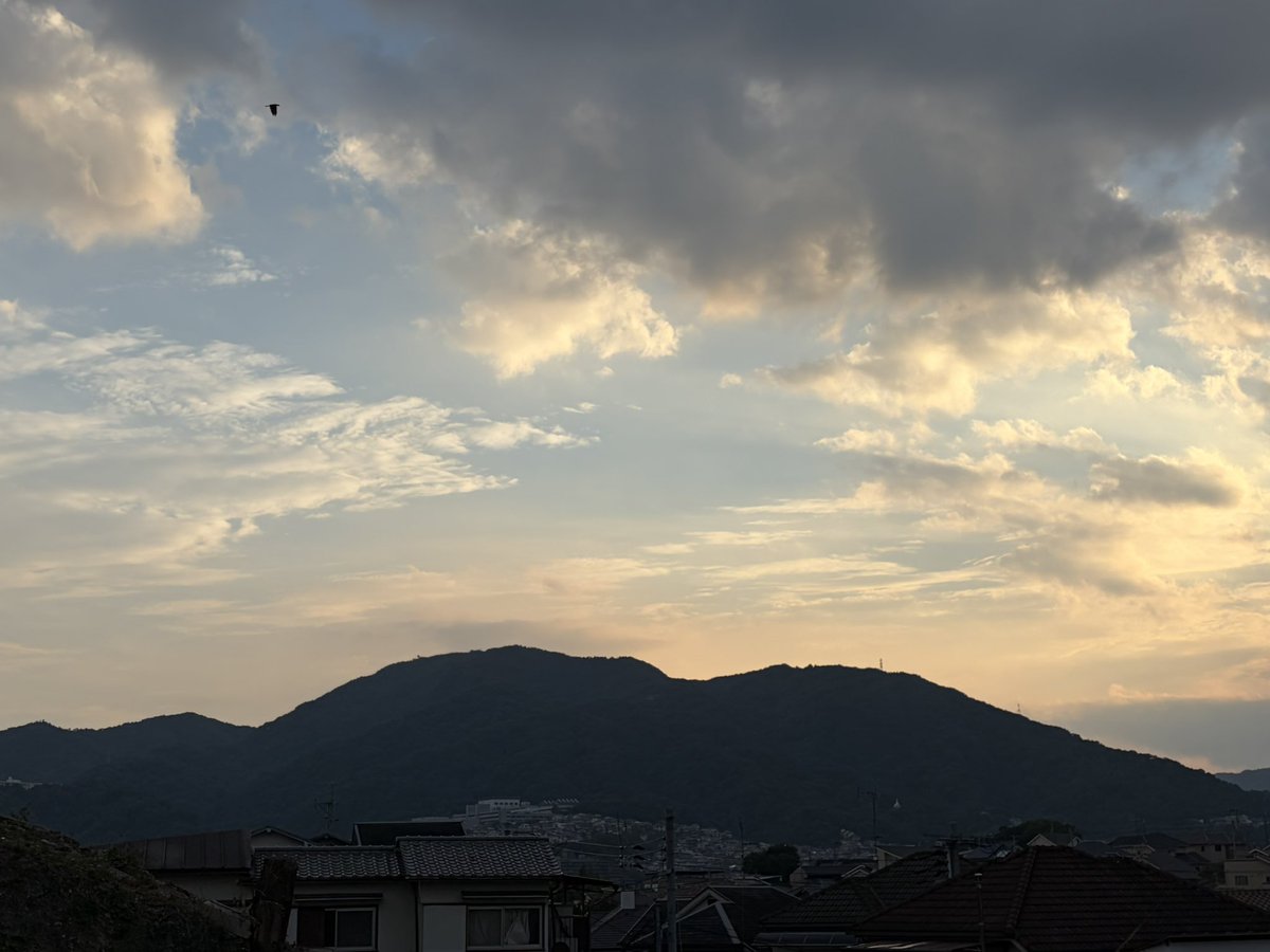 did_you's tweet photo. 少し涼しくなったので散歩♪

①工房の方にお世話になっている猫ちゃん🐈‍⬛🐈✋☺️ﾔｱ！

②人通りのまるでないこんな道が楽しくて♪♪♪

③気がつけば😲！
(☝🏻今日に始まったことではありません😅)

④帰りはすっかり夕焼け空に✨✨ https://t.co/WrD4hzfRxW
