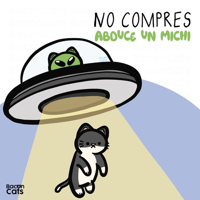 gatuna_Pilar_2's tweet photo. No compres... abduce un michi. 😻 https://t.co/ufN2G2e3Bs