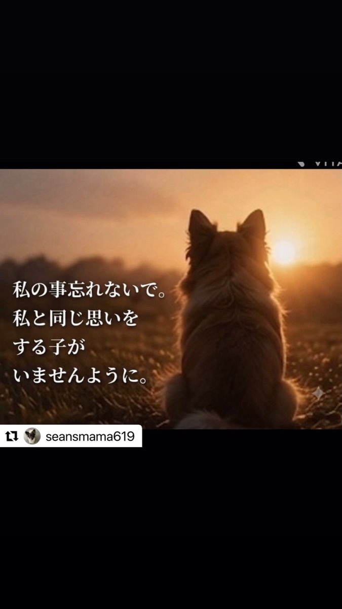 ls7cmXZ8H4Yh55o's tweet photo. #旺旺親子の悲しみを世界中に発信し続けよう 

#旺旺に正義を 
#中国動物虐待ビジネス撲滅 
これ以上虐待拷問許さない https://t.co/VTJvi0j7P0