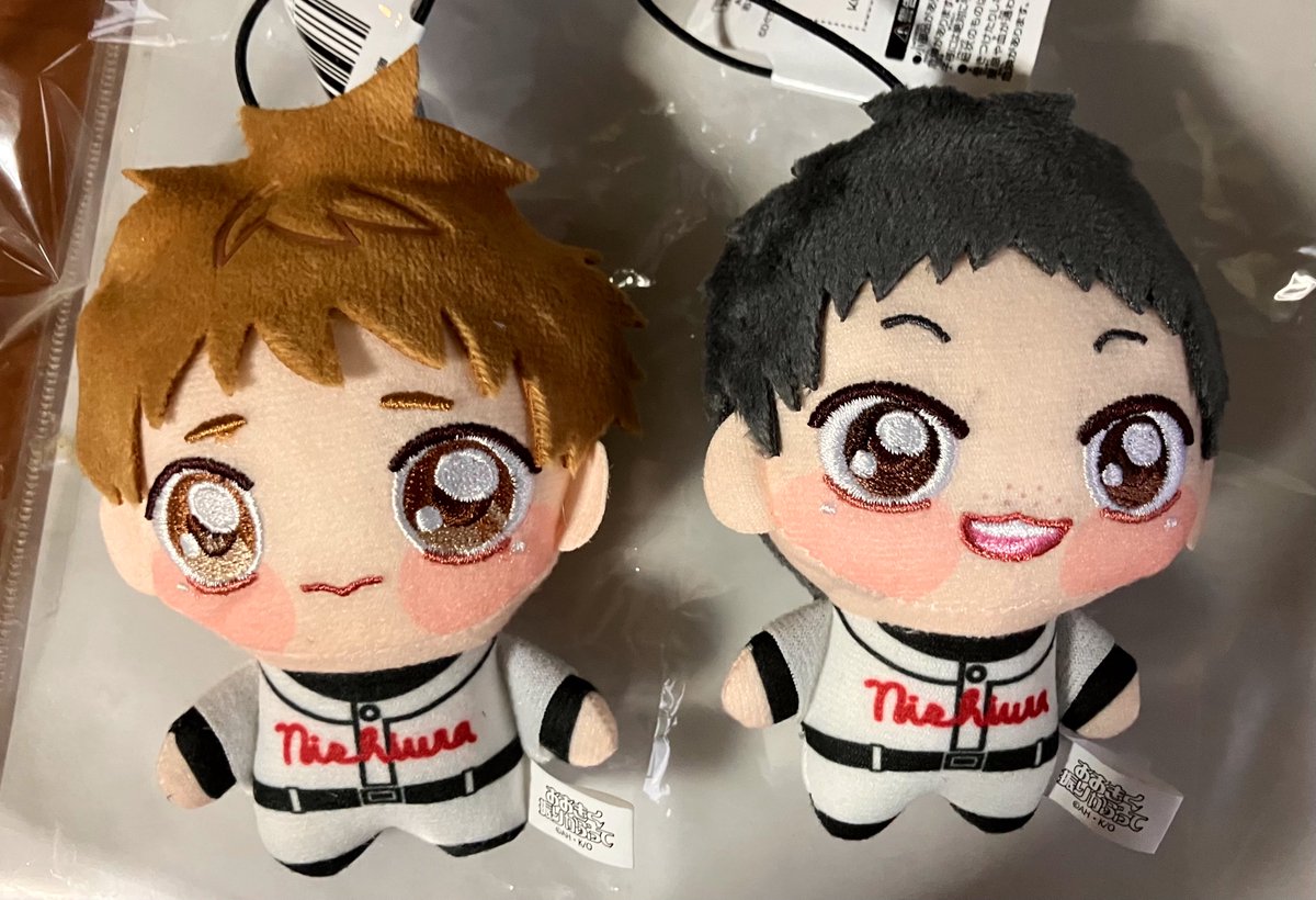 cellonon's tweet photo. めごちゃんに三橋と田島を取っていただいた🫶ありがとうめご神ヽ(；▽；)ノ可愛すぎる〜！！
あと浜田と泉で9組並べるんだ…！ https://t.co/R0ZkRokZwL