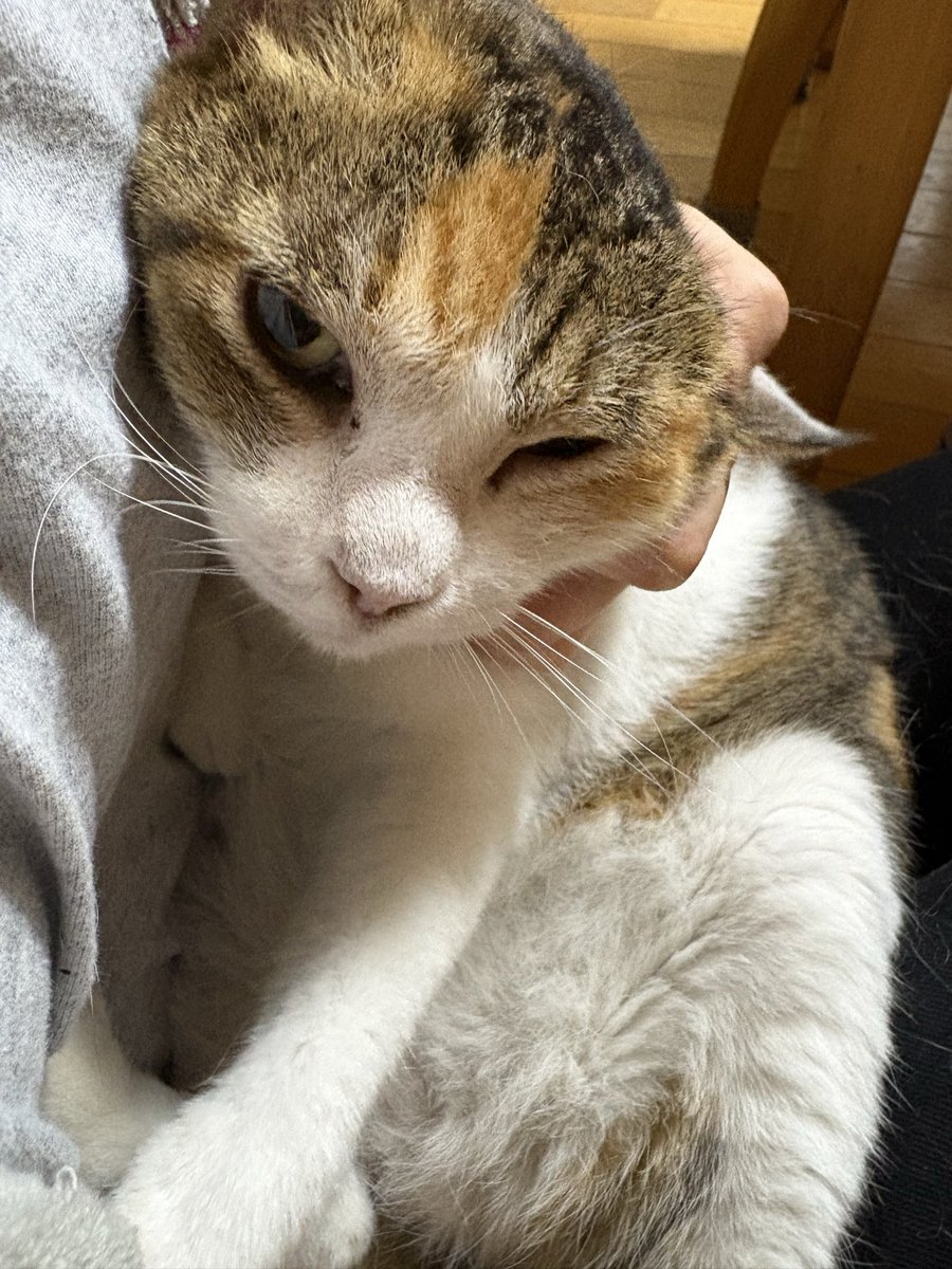 百愛 tweet media