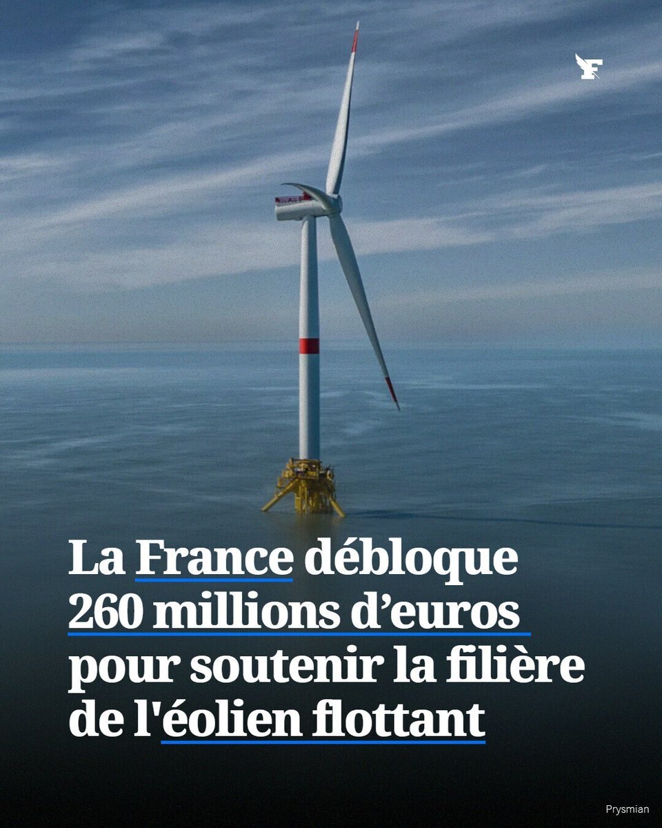 Manon 🇨🇵 🕊 tweet media