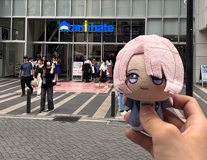 NiwakiP's tweet photo. 「ここがアニメイトの頂点なんだね」 https://t.co/nqggLX6UPT