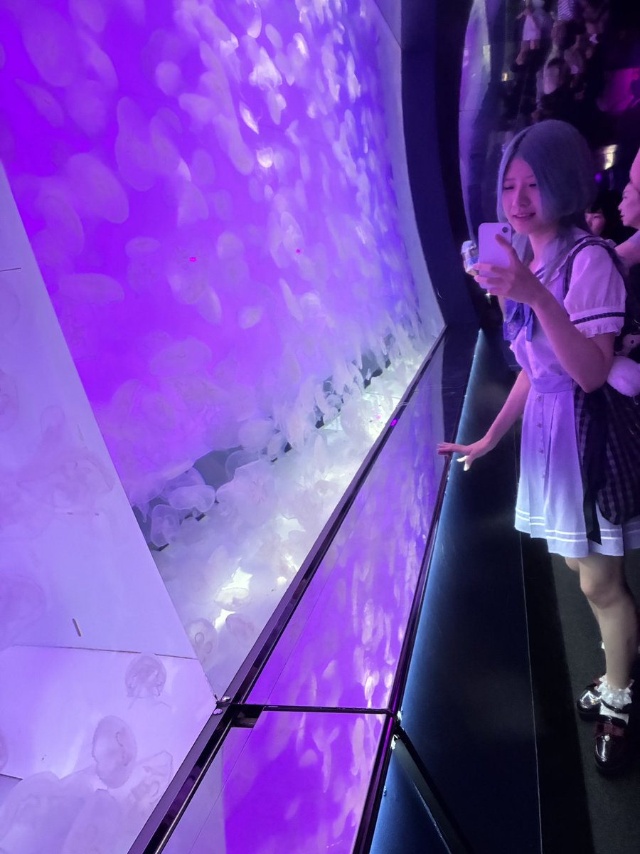 曖昧もこ【 mello sheep 】 tweet media