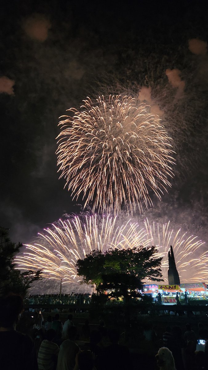 SSOBGIB1's tweet photo. いいね～🎆🐥 https://t.co/TEHIRZLFOG