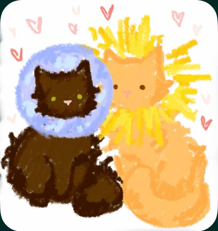Nightbloomc's tweet photo. moon &amp; sun https://t.co/sY64iBpPQK