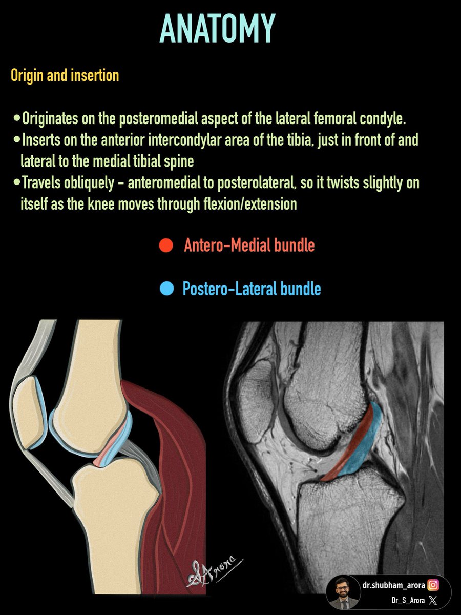 Dr_S_Arora's tweet photo. Starting new series on Knee anatomy and pathology based on our website: 

https://t.co/AhPywiWTmt https://t.co/OlwHPEdvwq