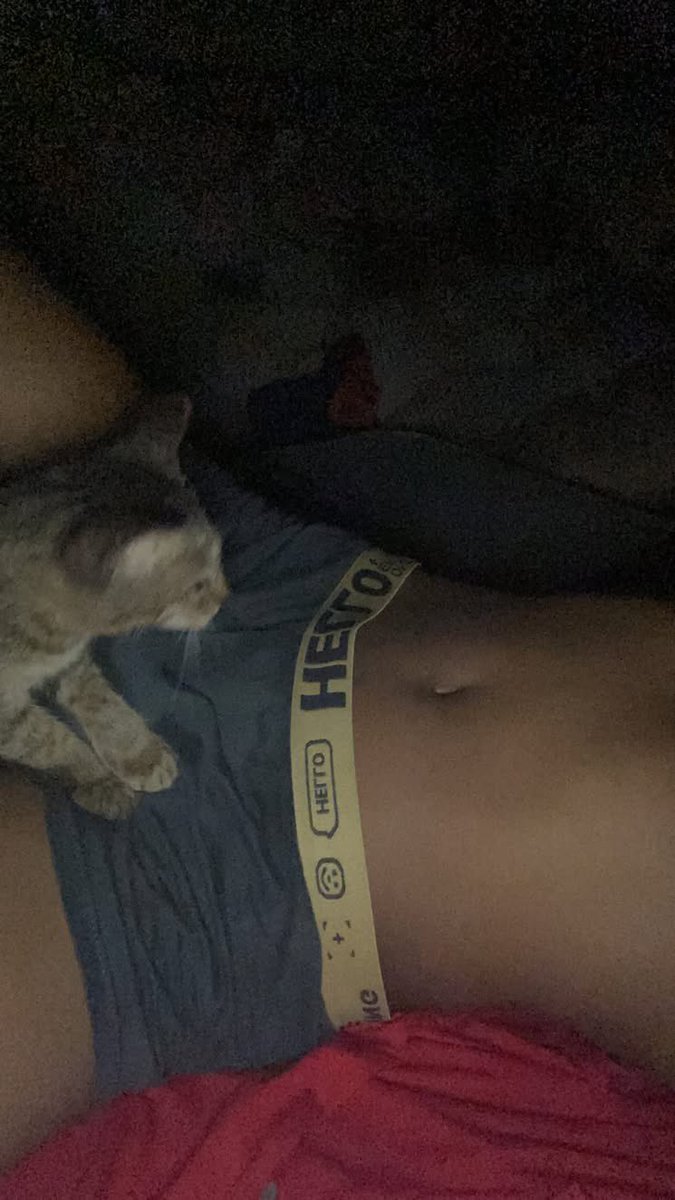 amxnPrvt's tweet photo. Kucing: nk pelukkk 
Me:  💆🏽‍♂️ https://t.co/cHTQlLMCzc