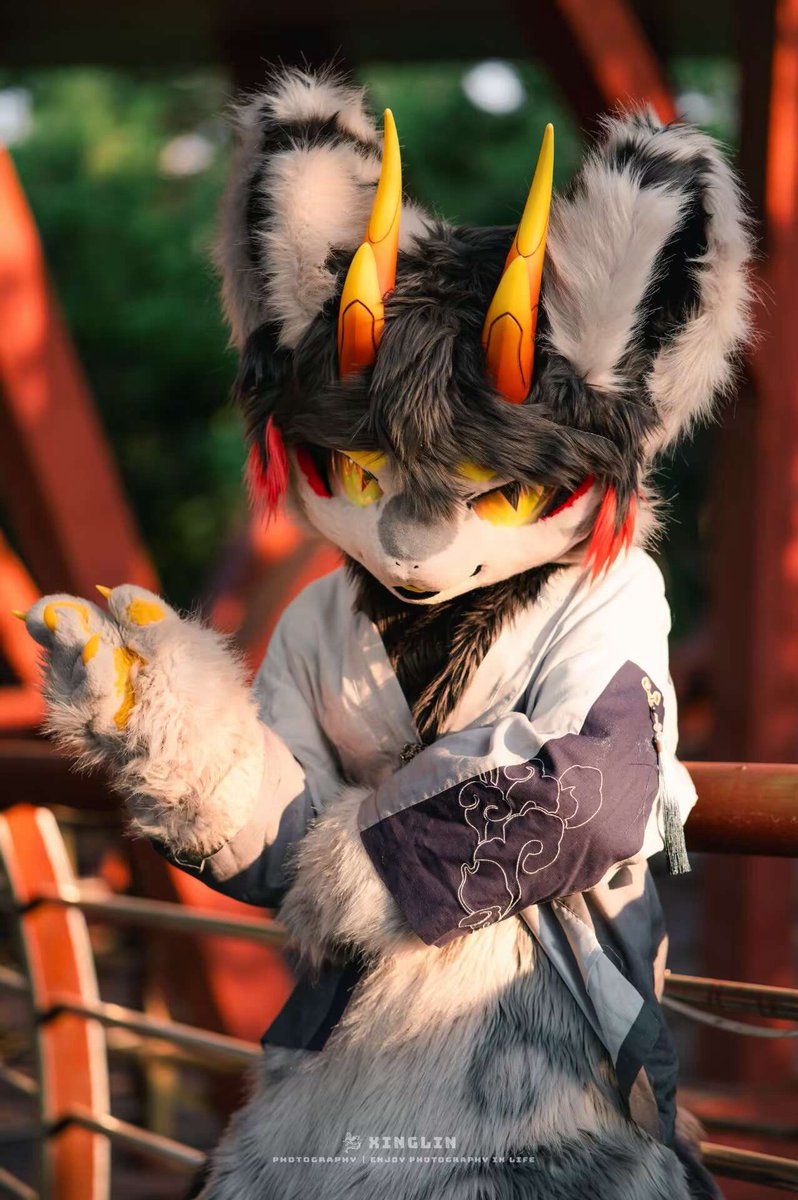 HArianaC_xiao's tweet photo. 你好哇~这里是萧，【INFJ】【文学】【摄影】【furry】
这里有兽装照片分享+自己写的文案， fursuit,dance，摄影爱好者。初来乍到，请多关照
English🆗中国语🆗日本语🆗粤语🆗
经营三只设定(前俩均已实体化):
混血灰龙:长安予策
风暴狼犬:浅川落雪
潮汐月亮龙:汐見曉
静静地期待你的脚步，从清晨到日暮 https://t.co/wG0atfyq4N