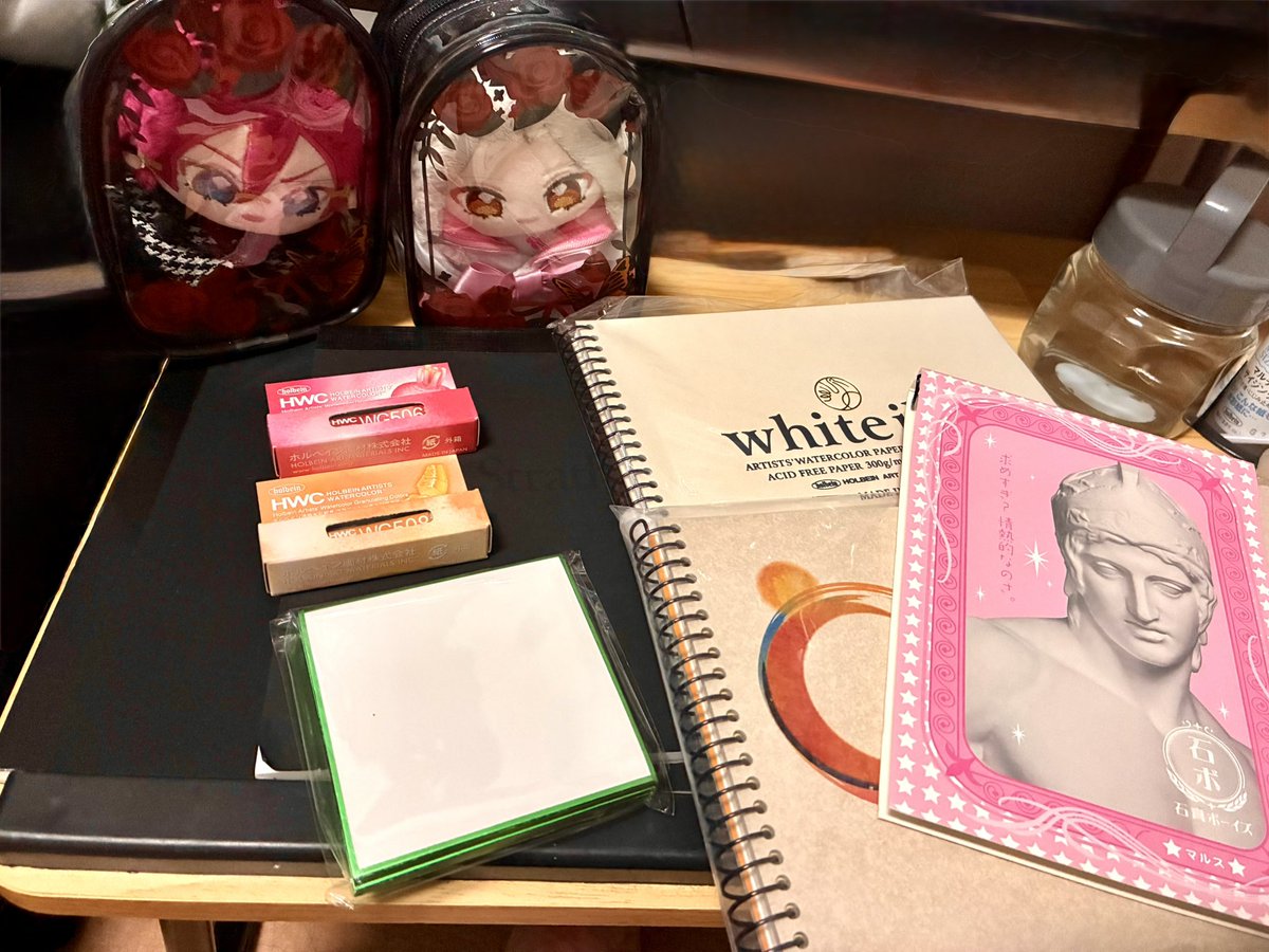 starbell_cat's tweet photo. 大阪から帰宅しましたー！シリウスブックは通販していて丁度届いてました。これらを使用していばなぎ描きます☺️
そして暑さに負けて大阪で服は仕入れられなかったですが、こちらが届いていたので、しばらくはこちらで🐏💤 https://t.co/uWGYxDZcoo