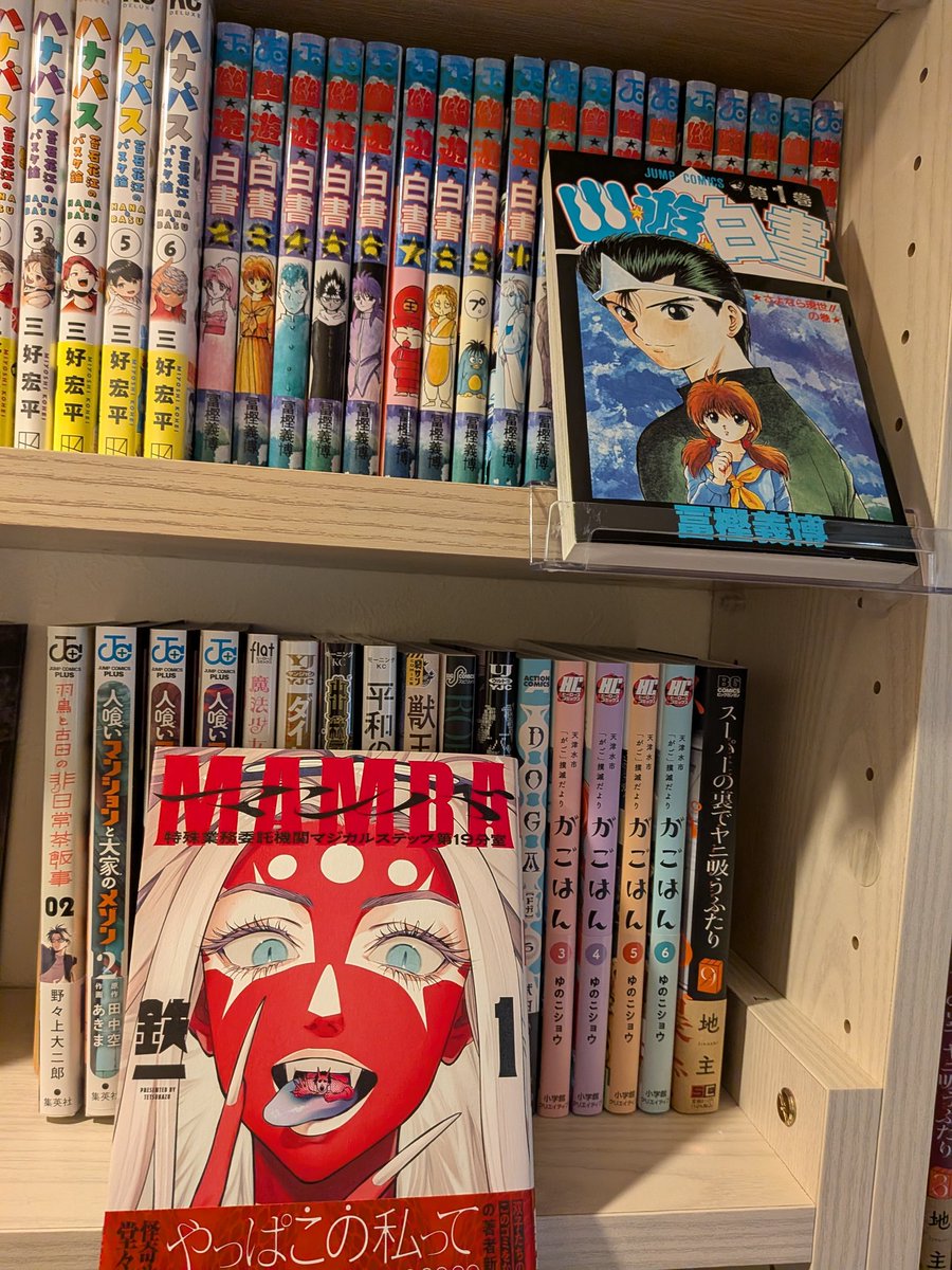 desuga15's tweet photo. #7月後半に購入した漫画
マンガ沼で紹介されて購入
#MAMBA特殊業務委託機関マジカルステップ第19分室
読んで面白かった本の続き
#羽鳥と古田の非日常茶飯事
#人喰いマンションと大家のメゾン
#がごはん
古い名作を今更初読してみようキャンペーン第3弾として
#幽遊白書
良い状態で手に入り満足です😊 https://t.co/IuxUqbuCS7