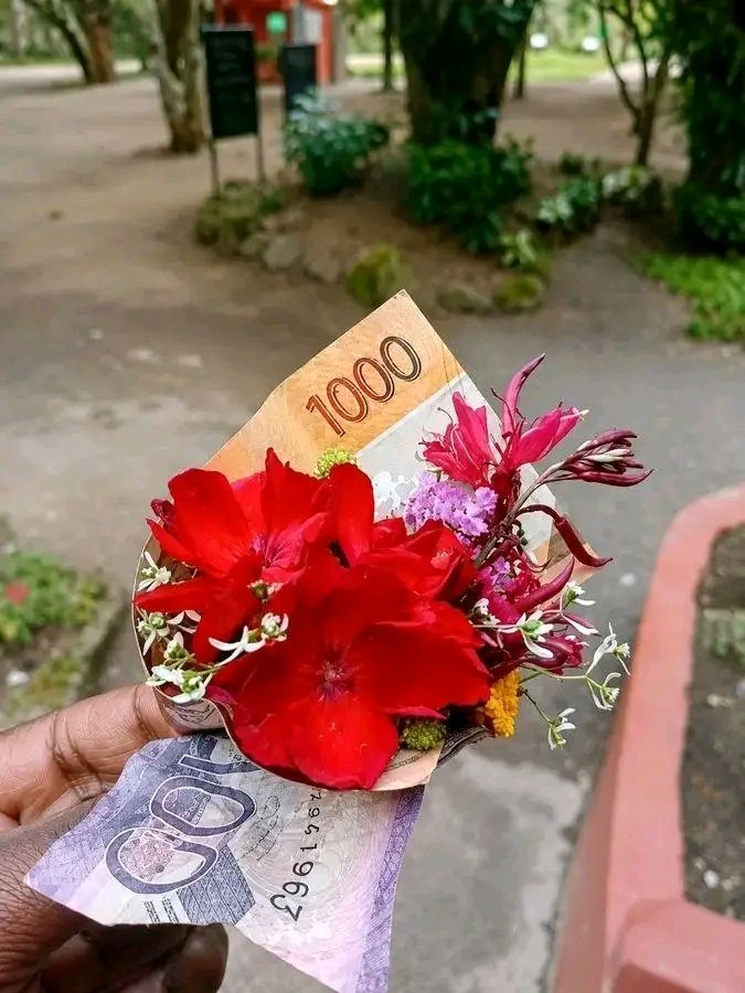 Mista_Helter's tweet photo. Ndo nataka kugift mamaa 1,000,100 https://t.co/EB1tWDCtAz