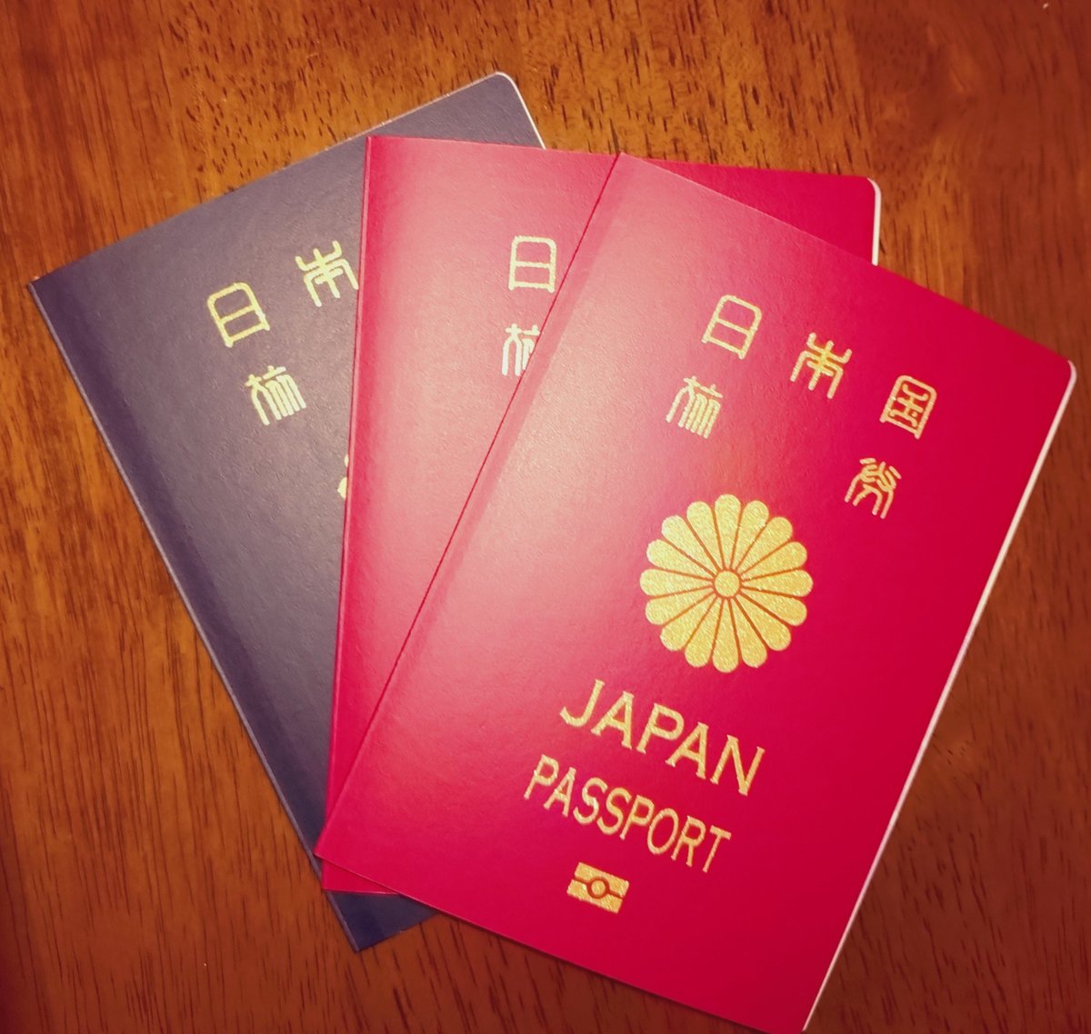 raaaaaaaaaan0's tweet photo. パスポートゲット🙌
コロナ禍と妊娠出産でだいぶ空いたけど久々旅行行ける✨
風涼しいからそのまま花火大会行ってゲームする体力残ってない🫠けどしたい…😴 https://t.co/yPaLB9t6RR