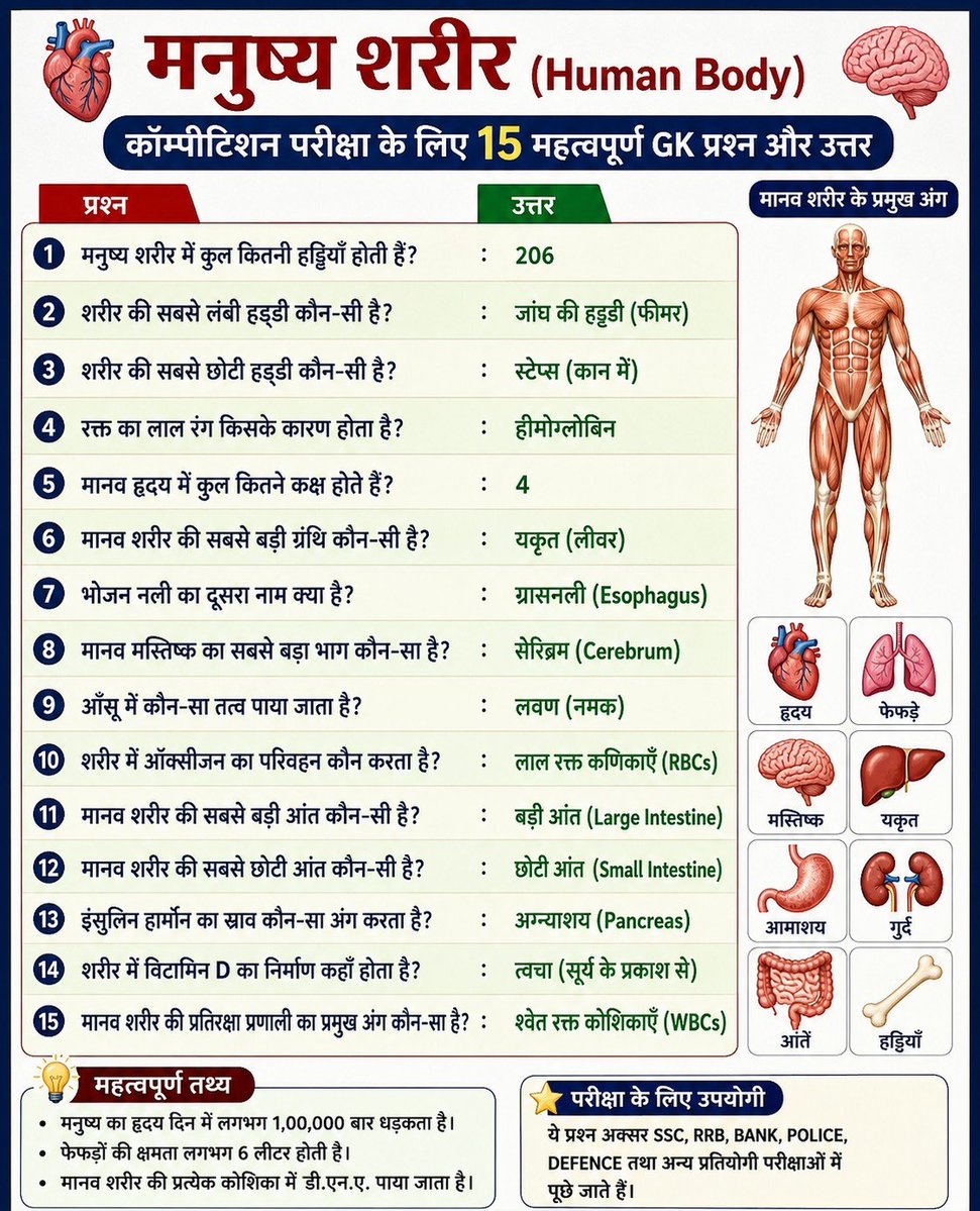 PoojaChoudharye's tweet photo. मनुष्य के शरीर से संबंधित महत्वपूर्ण क्वेश्चन आंसर
#DailyGKUpdate #gk https://t.co/SiKwNi9RYN